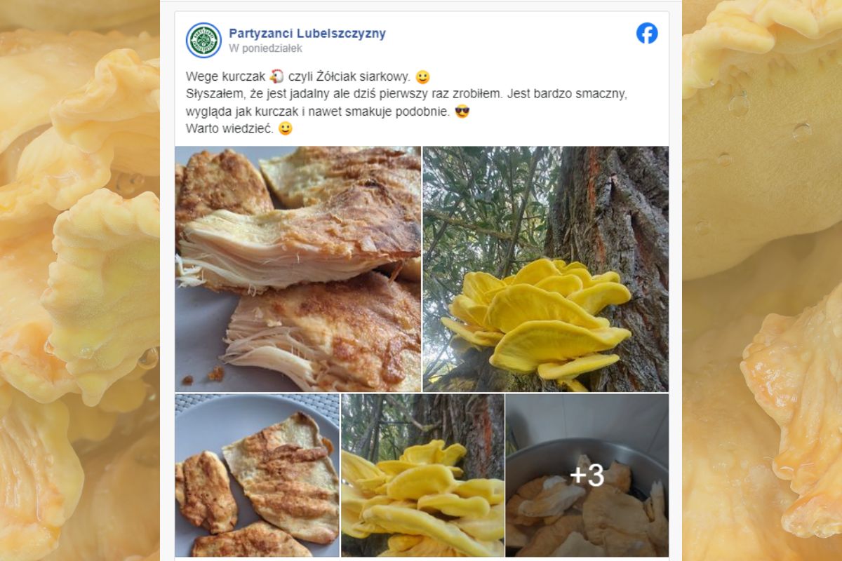 Użytkownik Facebooka pochwalił się nie lada znaleziskiem