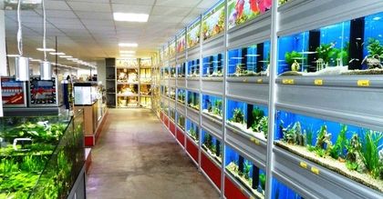 Polski rynek zoologiczny rośnie jak na drożdżach
