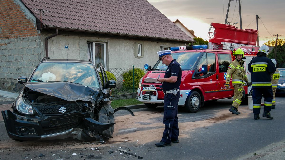 zdjęcie