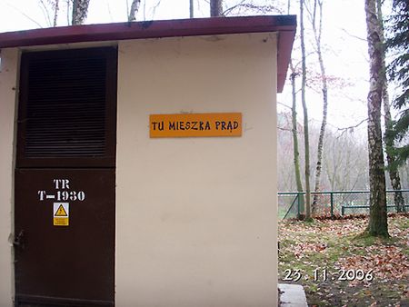 Obraz