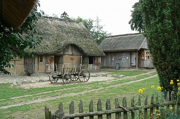 Obraz