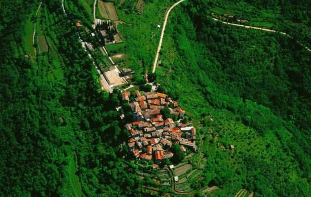 Obraz