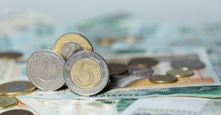 Złoty najmocniejszy od wybuchu pandemii, giełda o krok od rekordu. "Dobra passa"