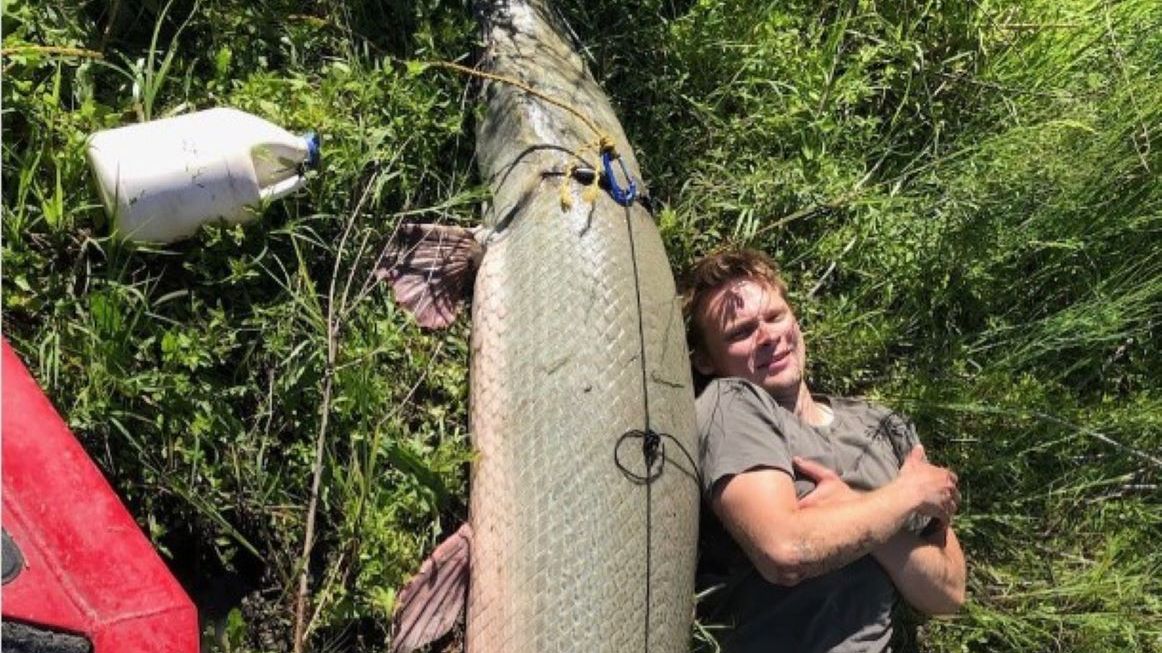 Wędkarz wyłowił rekordowo dużą niszczukę 