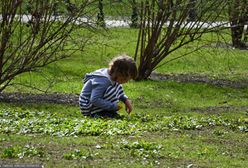 Dziewczynka błąkała się przy drodze. Jej matka była pijana