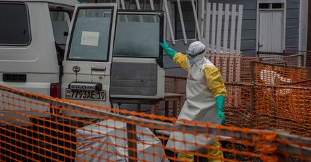 Wirus w mózgach ozdrowieńców. Przerażające odkrycie naukowców