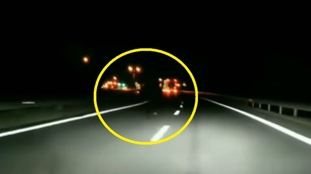 koń zwierzę droga ekspresowa