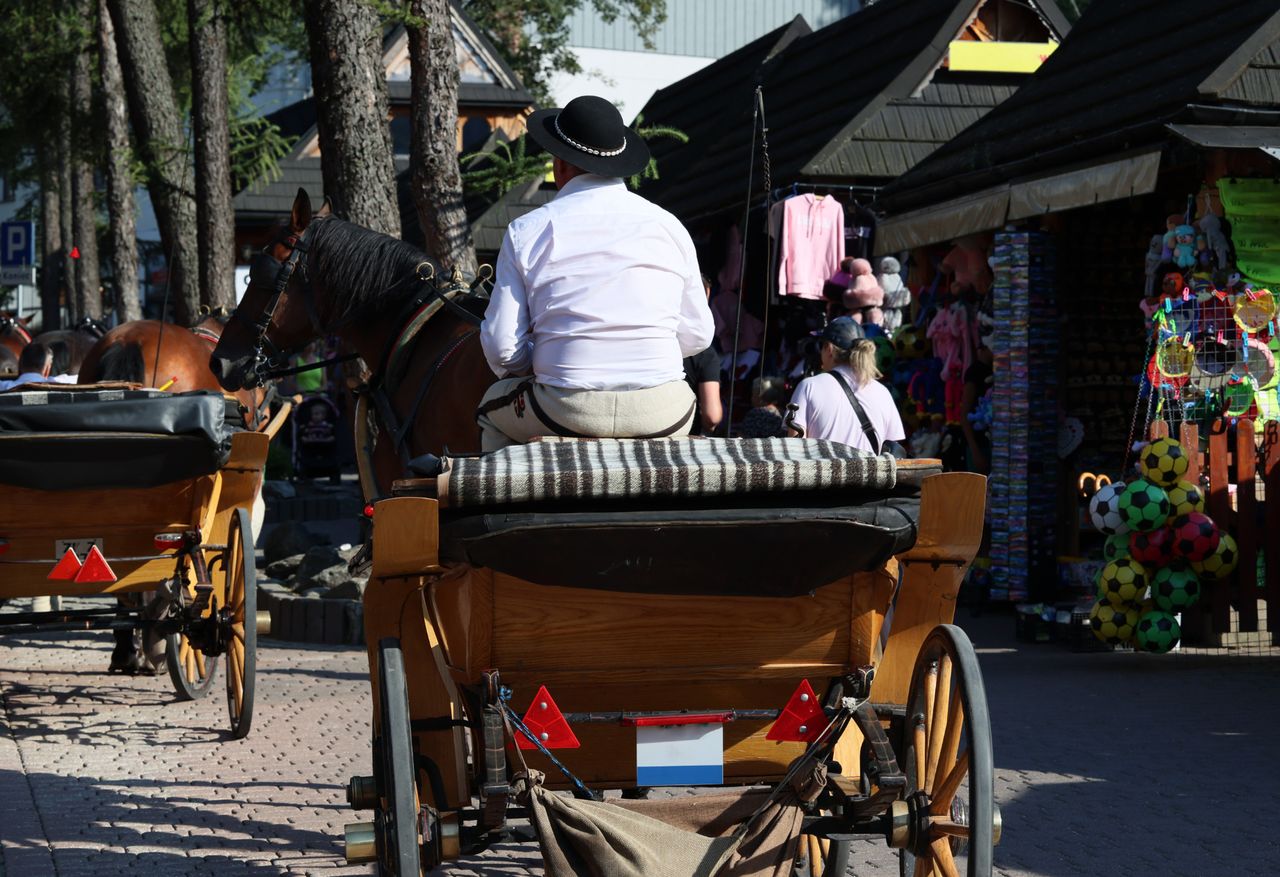 Arabscy turyści pokochali Zakopane. Jeden z szejków nie oszczędzał na swoich żonach