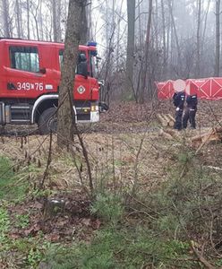 Wstrząsające okoliczności śmierci podczas wycinki drzew pod Toruniem. "Wszyscy piliśmy"