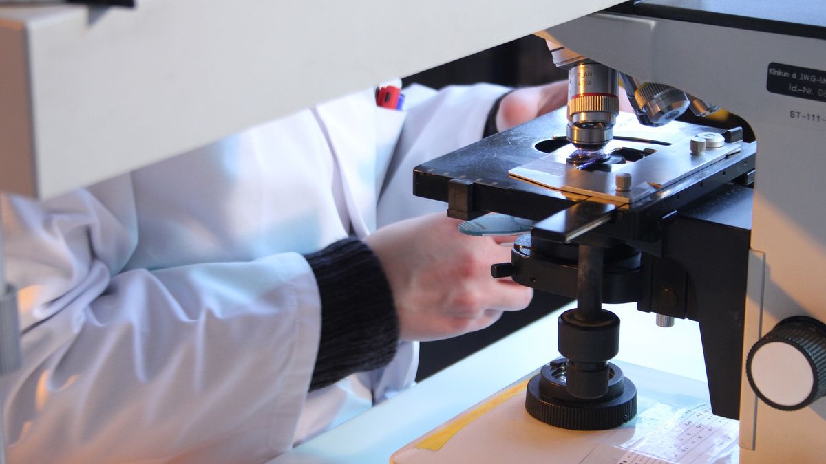 Koronawirus wciąż się rozprzestrzenia. Co na to ekspert?