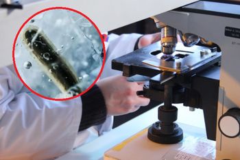 Zbadali bakterię z lodu sprzed 5 tys. lat. Jest odporna na 10 antybiotyków