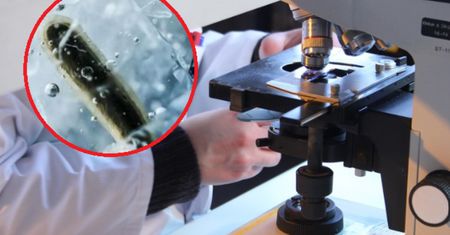 Zbadali bakterię z lodu sprzed 5 tys. lat. Jest odporna na 10 antybiotyków