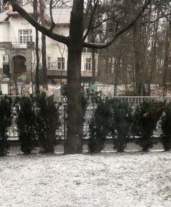 Warszawa. Spadł pierwszy śnieg! IMGW alarmuje