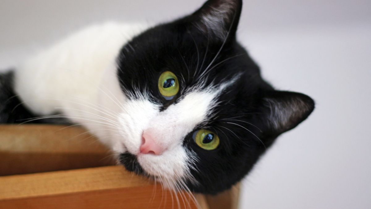 Włoski radiolog ma problemy, bo używał szpitalnego sprzętu