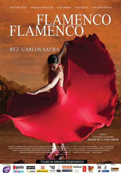 Flamenco, Flamenco