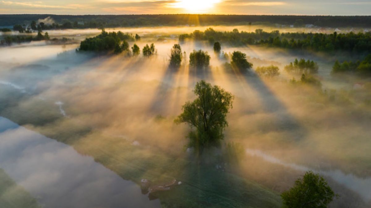 Na stronie Lasów Państwowych na Twitterze pojawiły się zaskakujące zdjęcia. Opisano je jako "drastyczne"