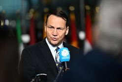 Gigantyczne wsparcie z Niemiec i Polski. Sikorski podaje kwotę