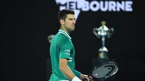 Australian Open: władca kortów w Melbourne i groźny pretendent. Czas na finał Novaka Djokovicia z Daniłem Miedwiediewem