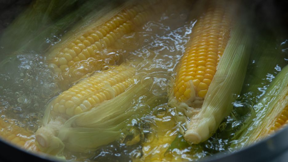 Boil the corn in boiling water
corn, boiled, sweet, cob, raw, kernels, yellow, maize, healthy, closeup, meal, organic, grain, cooking, ripe, vegetarian, agriculture, vegetable, ingredient, nutrition, fresh, food, cook, hot, plant, sweetcorn, natural, macro, harvest, farm, health