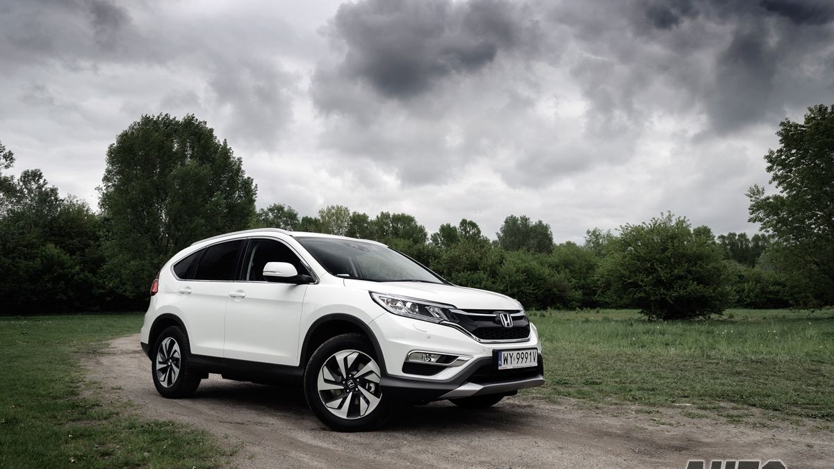 Zdjęcie ilustracyjne do artykułu