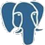 pgAdmin icon