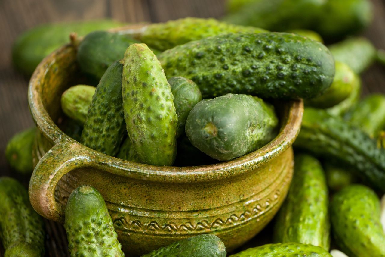 Cucumbers for the "crocodile pickles" recipe