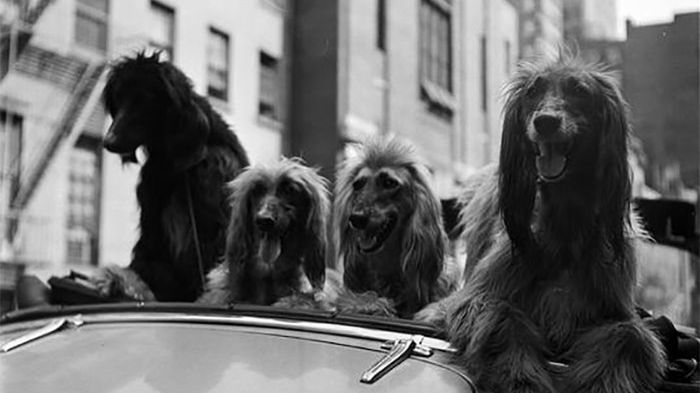 Zdjęcia autorstwa 17-letniego Stanley Kubricka ujawniają jego geniusz 1