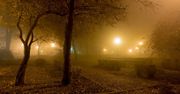 Lubelskie: Gęste mgły nad. Ostrzeżenie IMGW