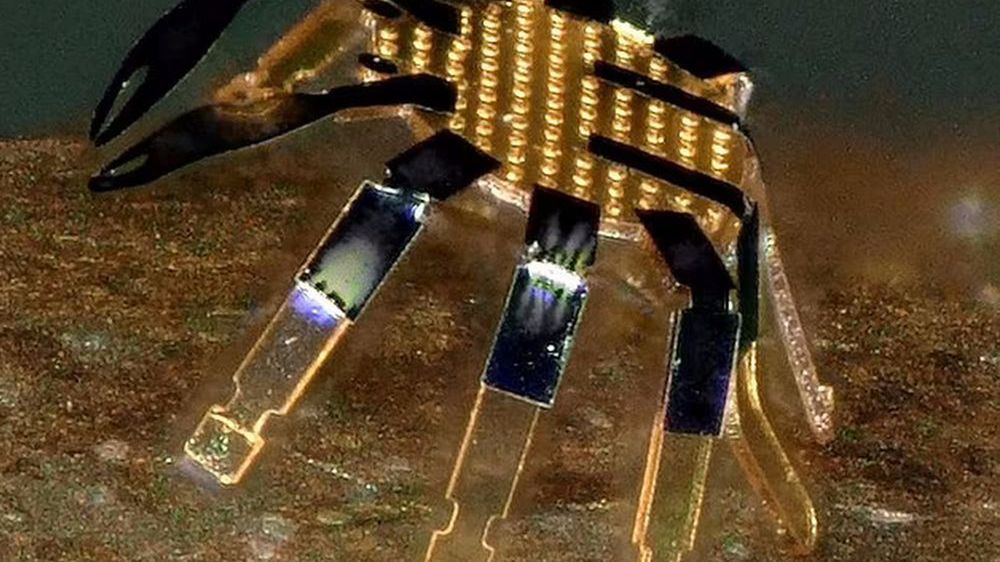 Mikro-roboty mogą zmienić rynek badań