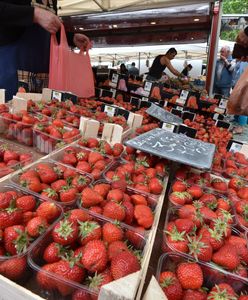 "Przerzutowcy". Zawyżają ceny truskawek