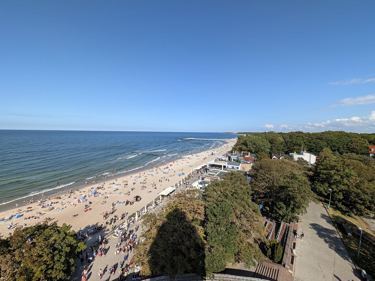 Pixel 11 Pro XL