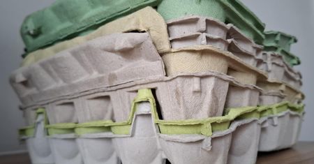 Najczęściej ląduje w koszu na śmieci, a to duży błąd. Nie uwierzysz, do czego może się przydać