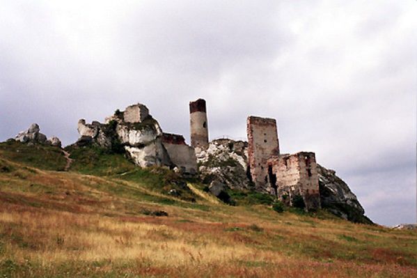 Obraz