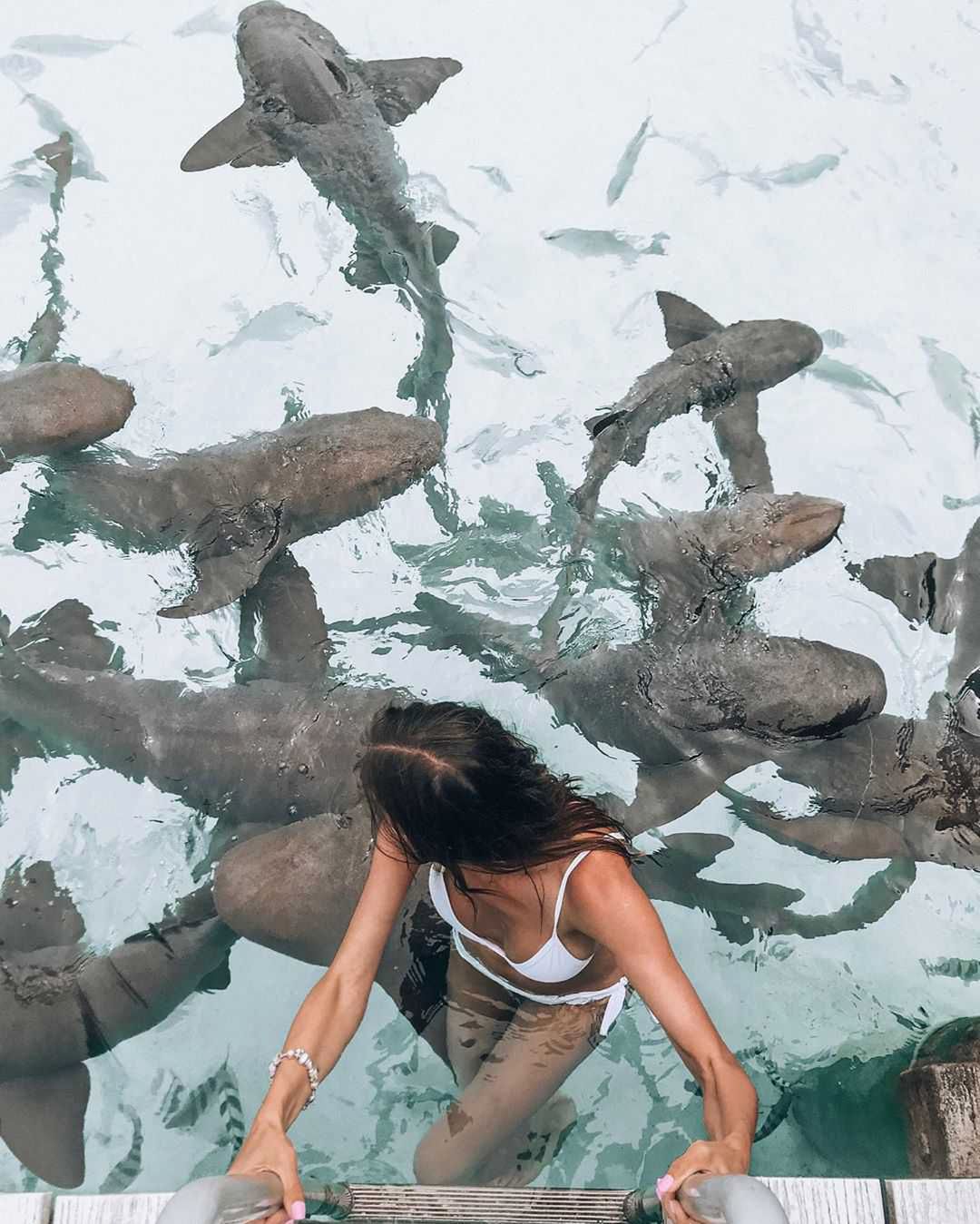Anna Wendzikowska i Jan Bazyl na Bahamach z rekinami