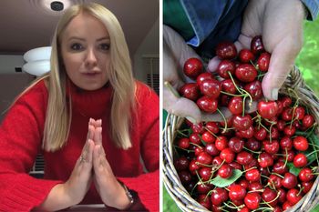 "Co się robi z czereśniami za 350 zł za kilogram?" Reakcja internautów
