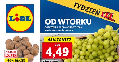 Lidl najnowsza gazetka od wtorku 16 sierpnia. Promocje w Lidlu 16.08-17.08