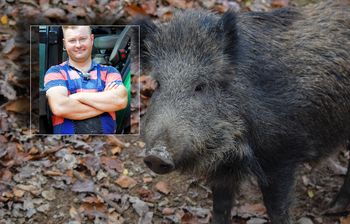 Łukasz z "Rolnika" chce eliminacji dzików. Mówi o śmiesznych odszkodowaniach