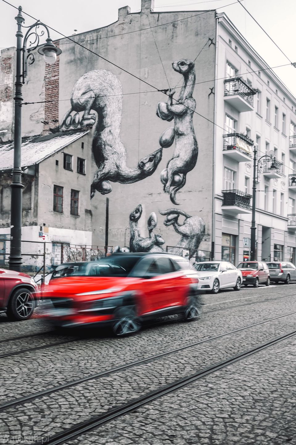 Zdjęcie ilustracyjne do artykułu