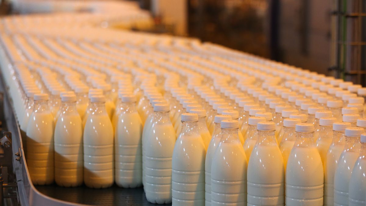 Niemiecka spółka DMK Deutsches Milchkontor GmbH przejmuje 49 proc. udziałów w polskiej firmie. Zdj. ilustracyjne