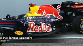 Tomasz Szmandra: Niki Lauda wyciągnął rękę, Byki ją odtrąciły