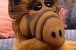 (Nie)zapomniane seriale: "Alf"