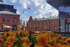 Startuje Klimatyczna Wiosna Konesera, czyli kilkadziesiąt bezpłatnych ekowydarzeń w Centrum Praskim Koneser