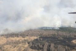 Pożar lasu w Czarnobylu. Ogień zajął 20 hektarów zieleni w zamkniętej strefie