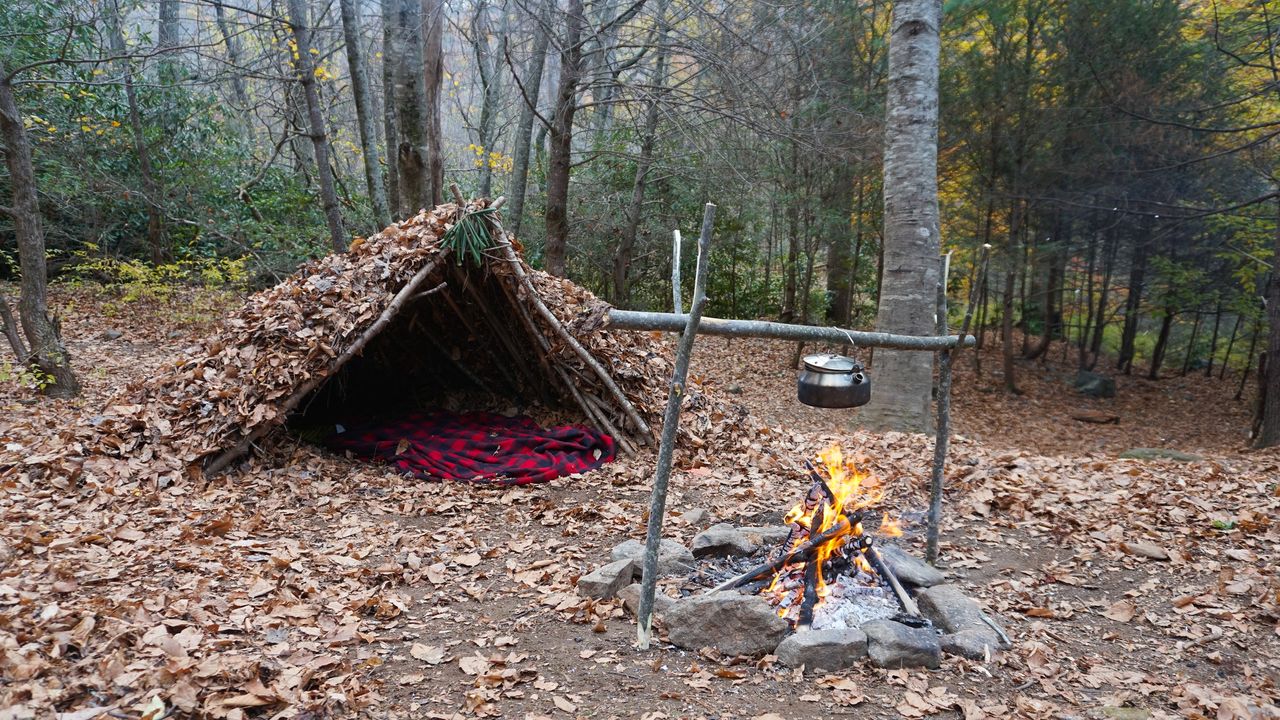 Bushcraft dla każdego. Z tymi trzema umiejętnościami przetrwasz w terenie