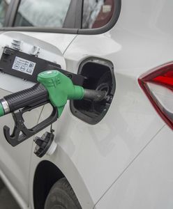 "Tankuj w Polsce". Tak Niemcy oszczędzają na paliwie