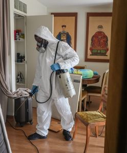 Wmówili ludziom plagę we Francji. A potem zarobili na tym krocie