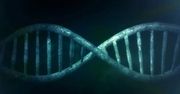 Naukowcy odkryli tysiące enzymów pozwalających na manipulację genami