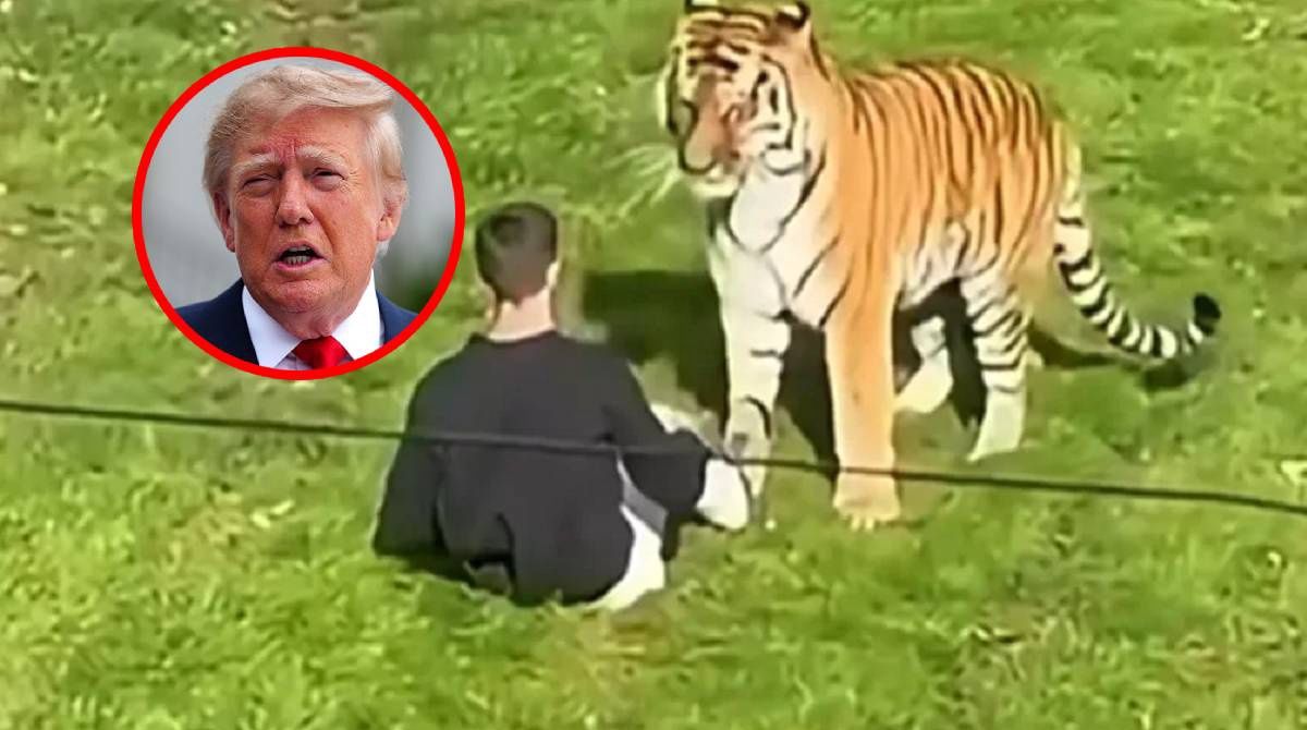 Burza po wpisie Donalda Trumpa. 23-latek zginął w paszczy tygrysa