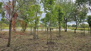 Warszawa: Mieszkańcy zdecydowali w budżecie obywatelskim. Teraz rusza przetarg