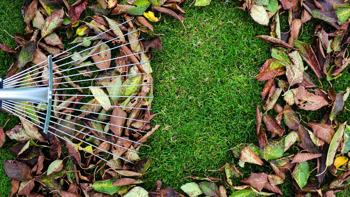 Akcesoria i narzędzia ogrodnicze potrzebne jesienią 1